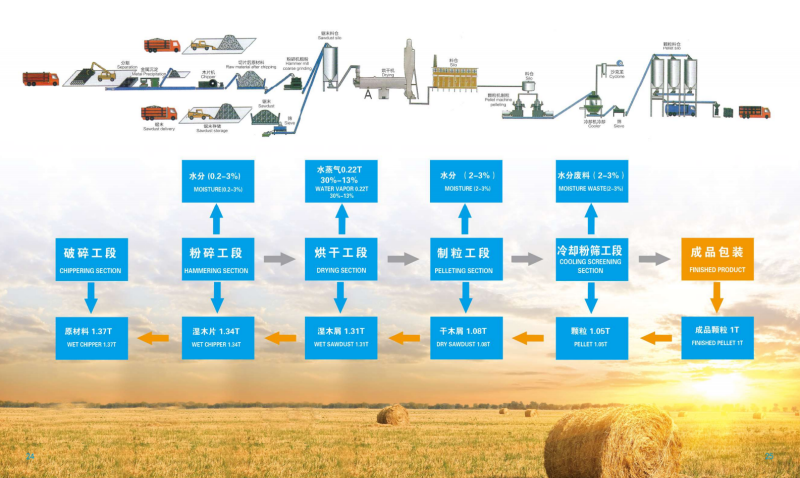 鲸鱼直播宣传册_13 - 副本.png