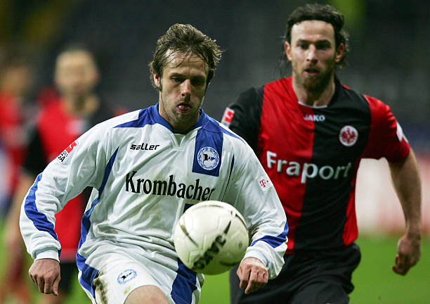 质无疑是活 质无疑是活